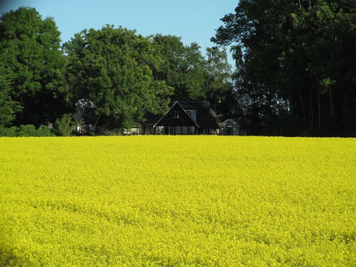 Smedsgarden Villa Höganäs Exterior foto